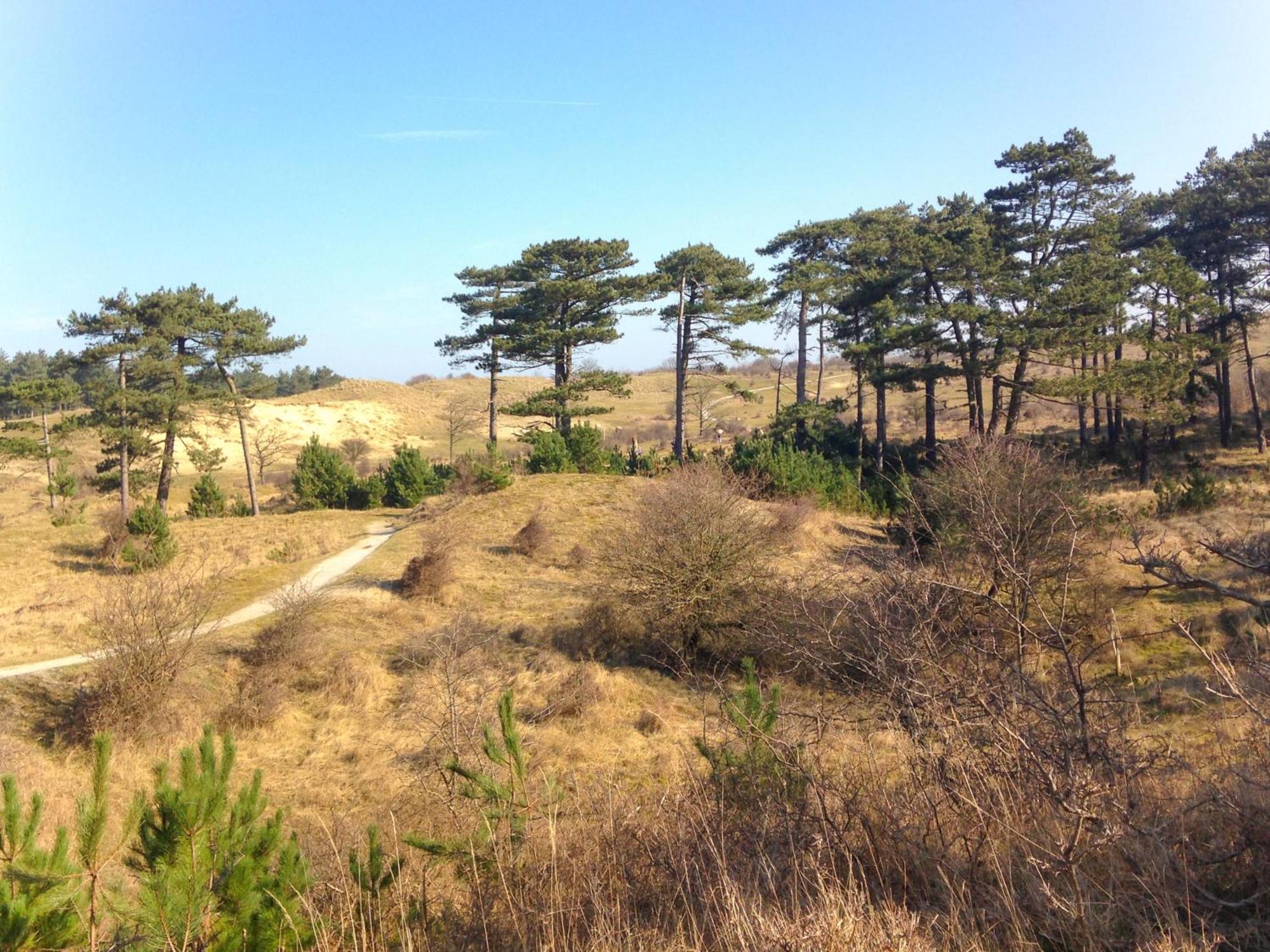 Driehuis B&B Noordzee-Kerstdeco-Sauna-Strand7Km-Kennemerduinen المظهر الخارجي الصورة
